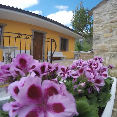 Negli Ulivi 4*