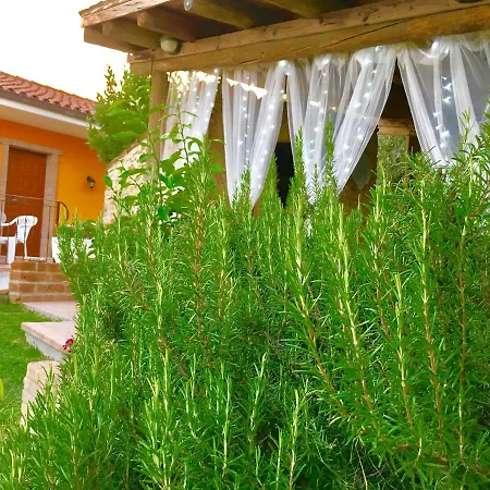 Negli Ulivi 4*
