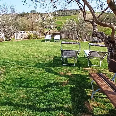 Negli Ulivi Bed & Breakfast