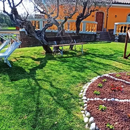 Negli Ulivi Bed & Breakfast