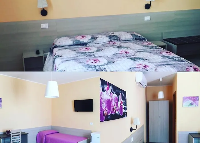 Negli Ulivi Bed & Breakfast Silvi Paese