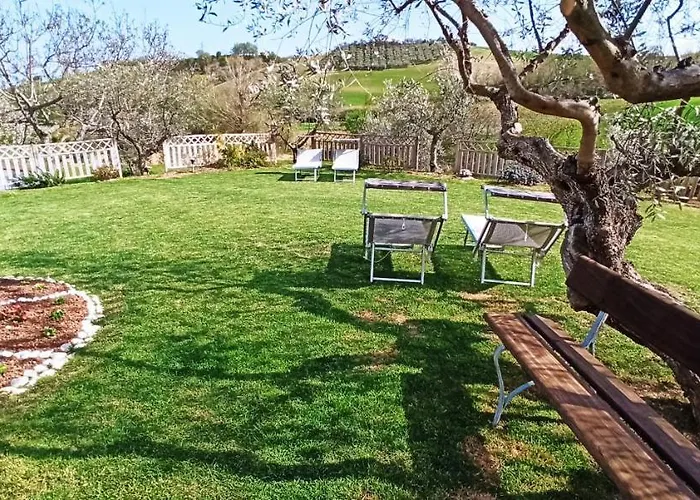 Negli Ulivi Bed & Breakfast